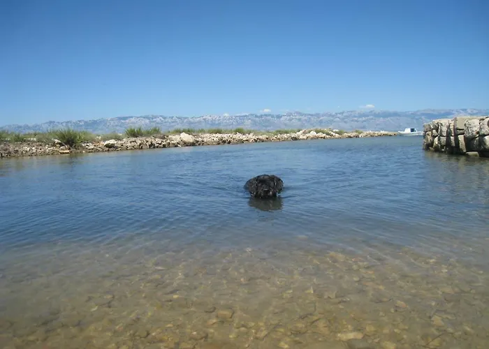 Frane Appartamento Vir